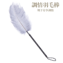 Sex utensils Couple foreplay flirting feather fun passion seduction series of sex tools sm alternative toys