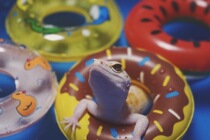 Big and small yellow duck 9cm mini swimming ring baby baby child play water bath water swimming beach toy