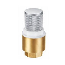 Baizhan valve Copper ball valve Bottom valve for water pump with net vertical filter check valve DN20 25 40 50