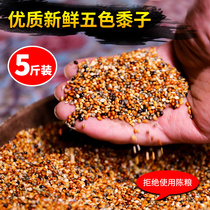 Parrot feed Bird food Mixed grain Xuanfeng tiger skin Peony bird food Five-color millet millet with shell 5 pounds