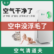 Air filter Pet deodorant suction cat hair purifier Negative ion air purifier Household mite removal hypoallergenic