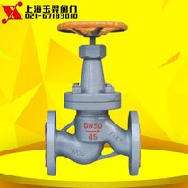 J41B-25C ammonia cast steel ammonia flange globe valve DN15 20 25 32 40 50 65 80-500