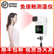 Infrared thermometer body temperature detection instrument door automatic vertical electronic shopping mall long-distance integrated machine