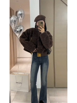 Korean style chic niche short lamb wool coat womens autumn and winter 2022 new small tops high-quality