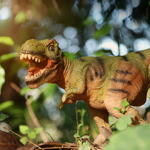 Childrens Dinosaur Toys Large Soft Rubber Tyrannosaurus Triceratops Dinosaur Egg Model Boy Toys Simulation Animals