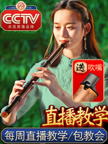 Xiao Instrumental Professional Hole Xiao Eight Holes Six Xiao Flute Introductory Beginology Short Long Purple Bamboo Flute Playing G Tune F South Xiao Xiao