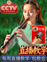 Treasures playing Class Xiangfei Bamboo Dongxiao Xiao Nanxiao Xiao Nanxiao Xiao Princess Bamboo FXiao Professional G Instruments Advanced Collection Xiaoxiao