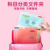 Japan KOKUYO National Reputation Light Color Cookie Vertical Organ Bag Can Expand A4 Handheld Test Paper Storage Bag Senior high school Students Small Fresh Simple Data Package Multi-layer Folder Classification Book Insert