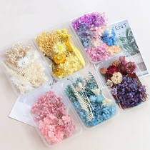 Meimuer mixed diy hand-made decoration eternal flower dried flower package material diy photo frame flower material embossing bag