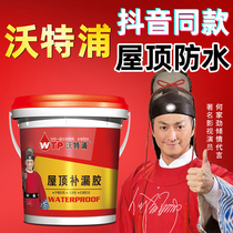  Waterproofing waterproof coating Roof roof roof leakage king Roof cracks Exterior wall leakage material glue Polyurethane