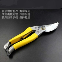 Cutting scissors garden floral art pruning branches scissors fruit tree scissors large flower scissors horticultural scissors tools