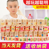 100 imported beech wood double-sided number Chinese character cognitive building block childrens puzzle bag Domino Post 3 years old
