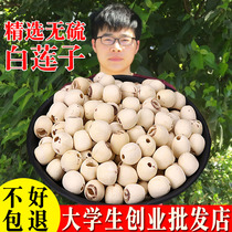 Coring bai lian zi 500g lotus seed dry coring large dermabrasion qu xin coreless lian zi Lycium barbarum tremella lian zi geng
