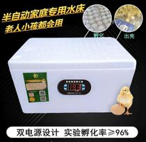 Egg hatcher Household mini incubator Chicken duck bird egg small automatic temperature control hatching goose egg parrot float