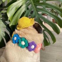 Dafa Collar Bago Chai Dog Corky Flower Collar Pet Dog Collar Dog Flower Collar