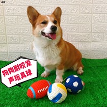 Pet dog toy ball resistant to bite molars vocal puppies small dog Corky Teddy large dog dog toy supplies