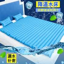 Water bed Ice pad mattress Water pad pillow Cold dorm cooling summer water mat bag Bed single water mattress Double