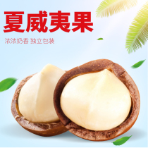  Macadamia nut kernel milk flavor Macadamia nut pregnant woman snack Macadamia nut