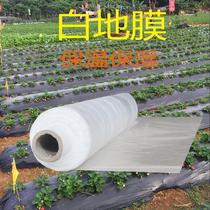 White mulch film agricultural silver black film fruit tree orchard insulation moisturizing vegetable shed engineering concrete protection film