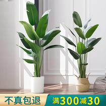  Simulation plant traveler banana Large bionic green plant potted Nordic style ornaments living room indoor floor-to-ceiling decorative bonsai
