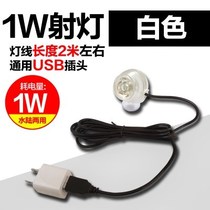 LED dragon fish tank special night light special diving light aquarium waterproof lighting