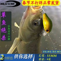 New 8g rock mini little fat floating water diving grass carp Luya bait Perch mouth fresh water lice reservoir