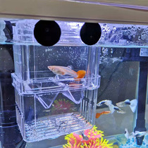 Sen Sen Guppy breeding box Juvenile fish tank Isolation betta fry ovipositor Tropical fish Acrylic hatching box