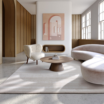Dammi Italian Brand Import Carpet Italian Minimalist Light Lavish Living Room Bedroom Tea Table Bedside Blanket Superior