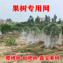 Fruit tree anti-bird net Cherry tree net Jiabao fruit tree anti-bird net Household anti-bird net Anti-bird cover Fruit tree special net