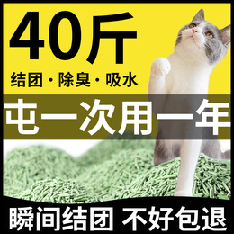 Cat sand tofu cat sand 20 kg deodorous 40 kg 10 active carbon cat sand affordable toilet