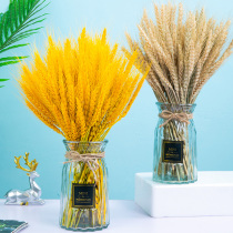 Natural wheat dried flower wheat ear open barley bouquet pastoral decoration ornaments shooting props Gold Rice ear real flower