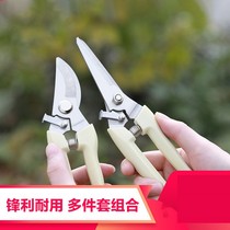 Trim floral scissors set small scissors garden creative Vine new garden rose handheld small