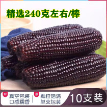 Liugu Mill Northeast Black Sweet Glutinous Corn Cob 2400G Sticky Purple Nuo Ready-to-eat Corn Vacuum Pack