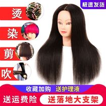 Full real hair apprentice haircut doll head Hair hair head mold dummy head hair cut fake head model head model head real hair