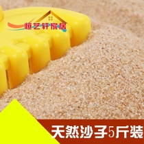 Sand fish tank pet supplies for the hibernation of small turtles egg hatching and breeding river sand