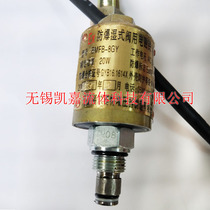 Electromagnetic BMFB-40BY BMFB-8GY BMFB-55BY for Explosion-proof Wet Valve for Solenoid Valve