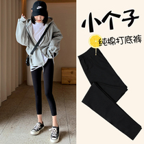 Pure cotton beating bottom pants female outside wearing spring and summer thin section elastic 80% small subpure color 100 lap high waist display slim 90% pants