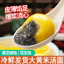 Shandong rhubarb rice dumplings black sesame seed thin filling peanut flavor 400g rhubarb rice noodles glutinous rice glutinous yellow rice handmade