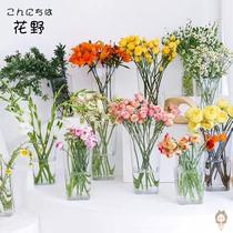  Home Acrylic Woke Flowers Buckets Transparent Large plastic flowers Bucket Flower Shop Special Deepwater Flowers Flower flower arrangements Flowers