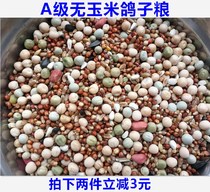 10 catties of pigeon grain without corn pigeon grain nutrition feed bird food bird food carrier pigeon ornamental pigeon pigeon meat pigeon young pigeon grain