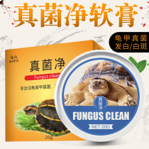Fun climbing turtle turtle fungus cure turtle back Tortoise Shell white fungus infection white spot white spot fungus net turtle