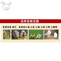 Bird cage Parrot starling Xuanfeng cage Bird cage Pigeon cage Large oversized extra large breeding household pigeon cage