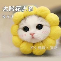 10 kinds of cat headgear Sun flower Rabbit cute anti-bite anti-licking funny pet dog headdress hat birthday dress up