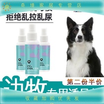 Side pastoral special training to guide small dogs positioning inducers to relieve themselves such as toilets chaotic urinals and defecation