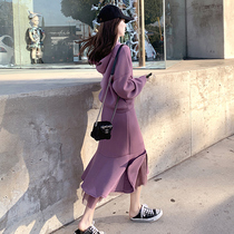 Autumn new womens high sense Net red fried street age age clothes casual fashion temperament skirt two-piece suit