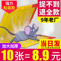 Mouse sticky strong mouse board adhesive big mouse paste mouse trap rat trap rat rodent device rodent artifact catch home