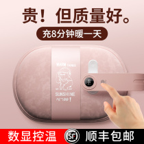 (Recommended by Li Jiasai) Hot water bag rechargeable explosion-proof warm hand baby plush electric warm treasure female hand warm water bag