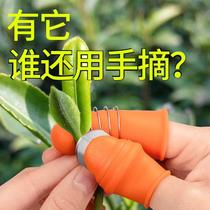Peeling Edamame artifact Iron nail cover dial Litchi broad beans pine nuts water horn peeling tool vegetable anti-cutting hand finger protector