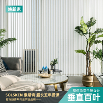 Swedish vertical curtain vertical Louver dream curtain family electric Smart shading sunscreen living room bedroom balcony partition