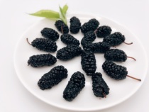 Hand choose a large disposable super black mulberry dry natural Xinjiang mulberry fruit dry soaking wine